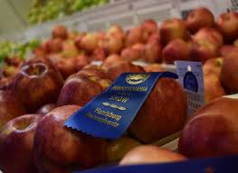 Hollidaysburg Community Farm Show