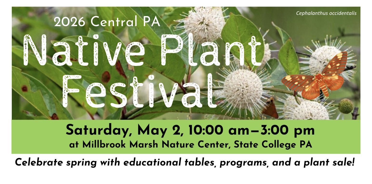 Central PA Native Plant Festival & Sale