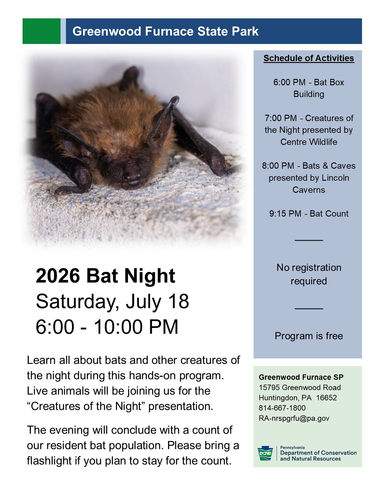 Bat Night