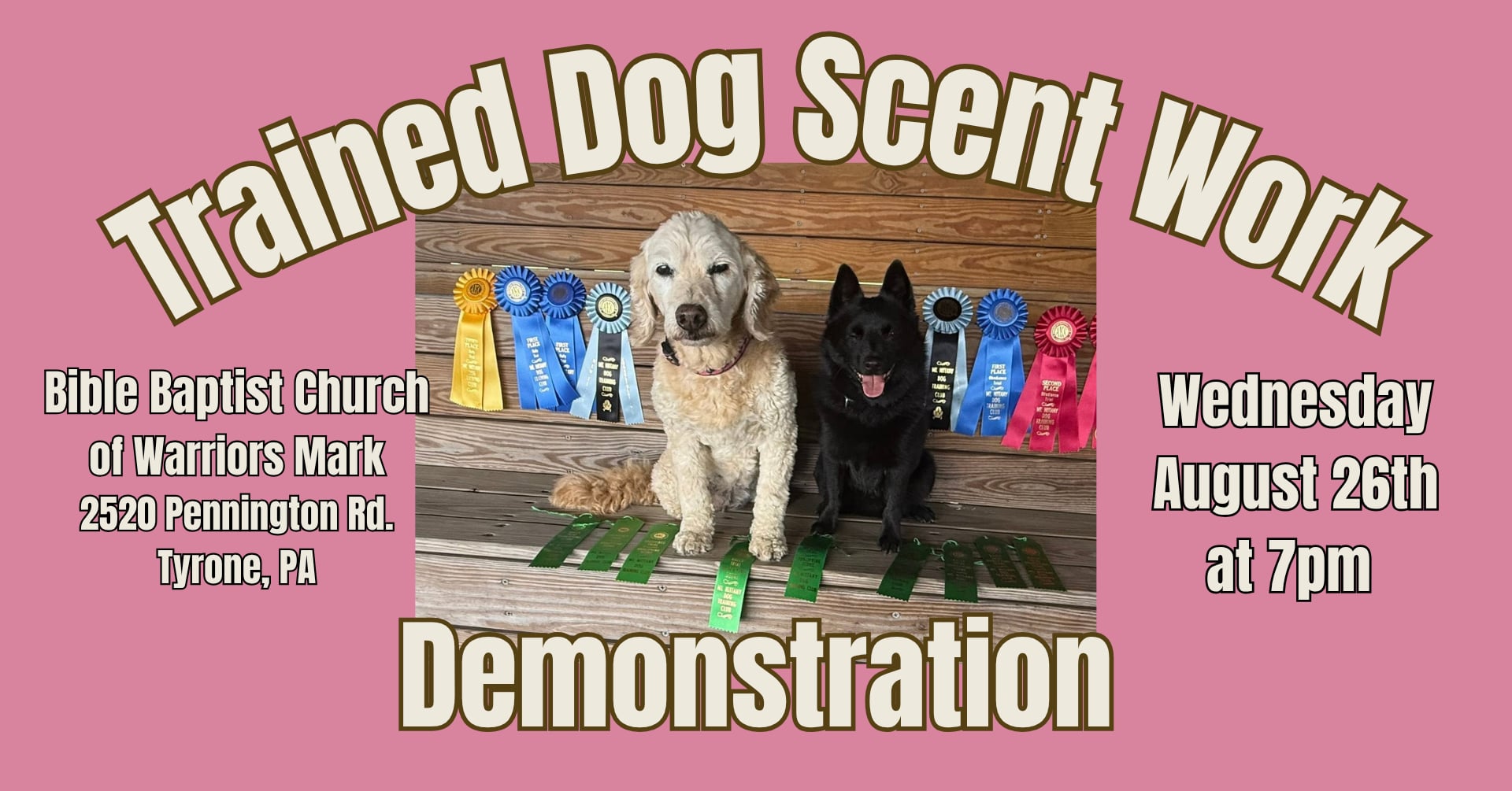 Trained Dog Scent Work Demo