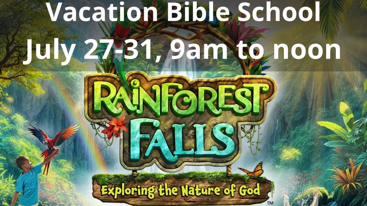 Rainforest Falls VBS